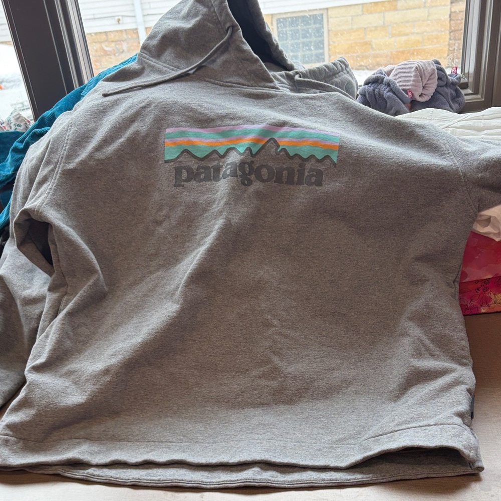 Patagonia Gray Hoodie with Mountain Logo